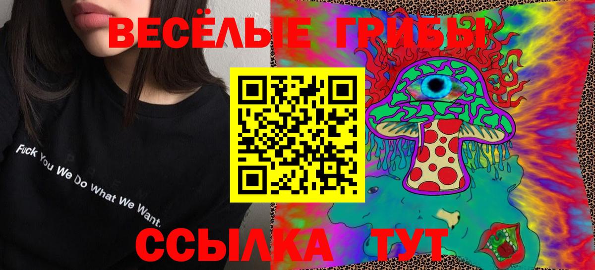 Псилоцибиновые грибы Cubensis Златоуст