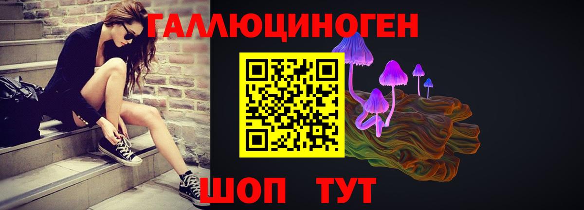 Псилоцибиновые грибы MAGIC MUSHROOMS  Вход с VPN  Златоуст 